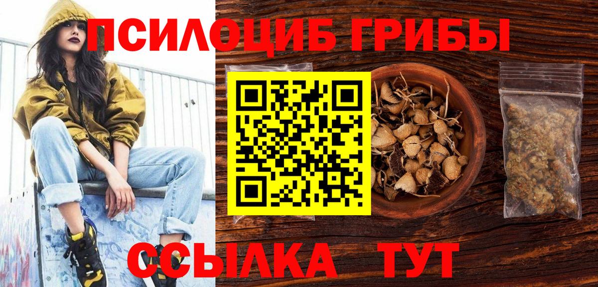 Галлюциногенные грибы MAGIC MUSHROOMS Балтийск