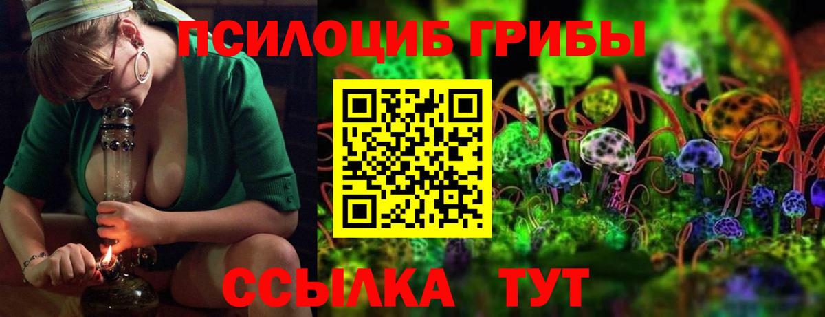Балтийск  Псилоцибиновые грибы MAGIC MUSHROOMS  Вход с VPN 
